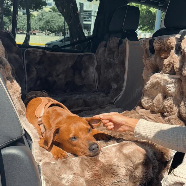 Lyxigt Bilsätesskydd för Hund